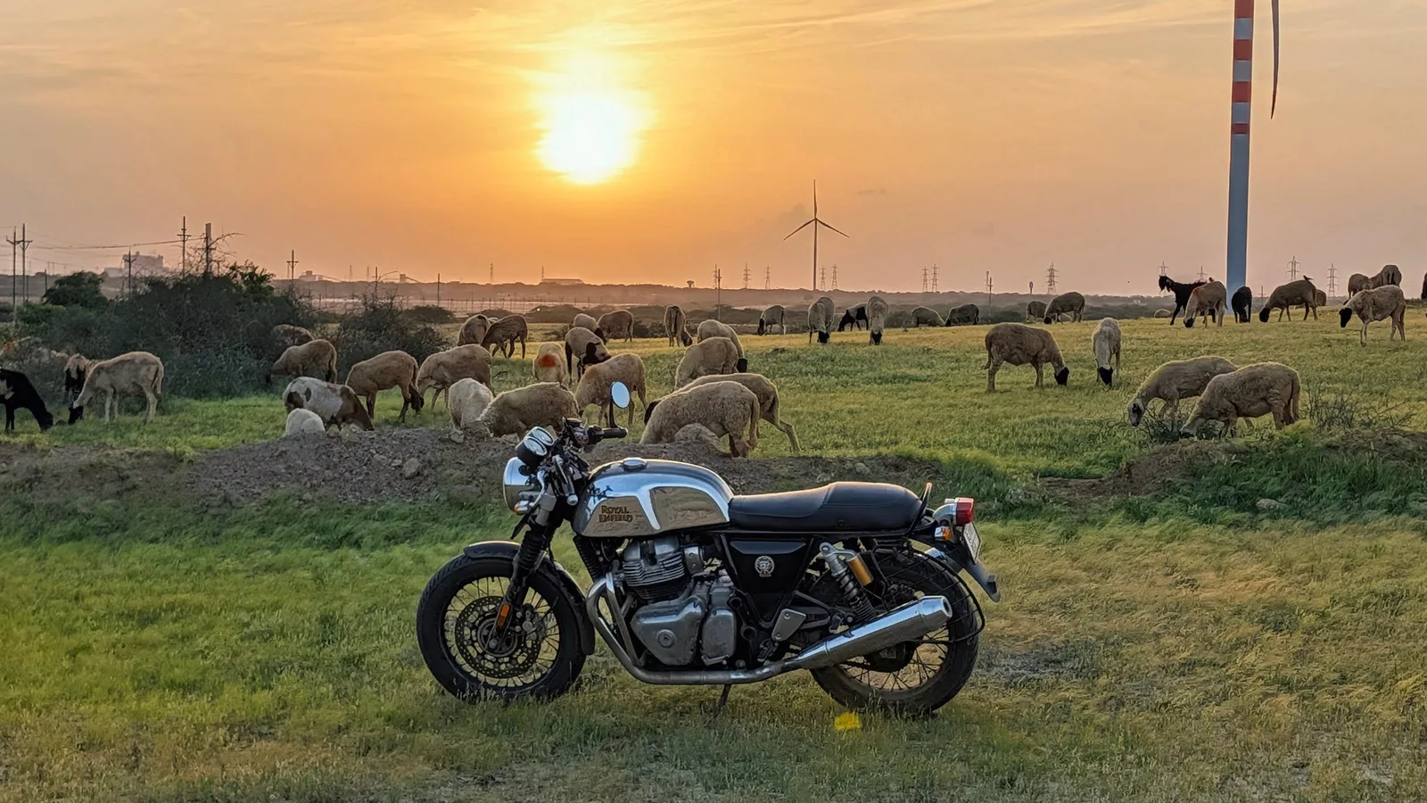 Ragnar, a Royal Enfield Continental GT 650, parked on a road at sunrise